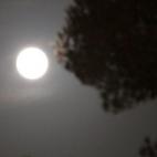 5c8b121a2500000704c9f9b0