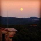 5c8b121b22000030001a35fe