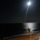 5c8b121b22000030001a3600