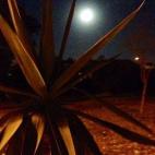 5c8b121c200000450470134c