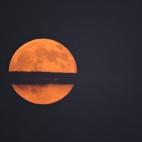 5c8b121c22000031001a3602