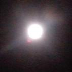 5c8b121c2300005400e780fe