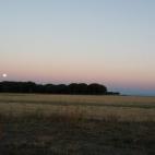 "No sé si era mas grande que otros dias", cuenta Raquel, la autora de la foto, "pero la paleta de+colores que nos regalo el cielo ayer por la tarde no tiene precio".