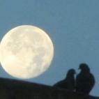 5c8b122123000004012409e2