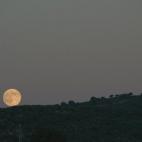 5c8b12212500000704c9f9be