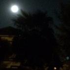 5c8b1223360000c81a6c6548