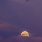 5c8b122424000093024cc8a0