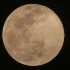 5c8b12242500001304c9f9c4