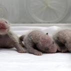 Uno de ellos posa muy sonriente.