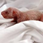 5c8ac5e12300003000e724fd