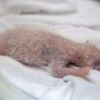 5c8ac5e32300002f00e72507