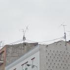 5c8b618d240000f7054d55c8