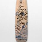 5c8af03320000043046ffbcd