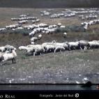 5c8b58b32300005400e7f6ee