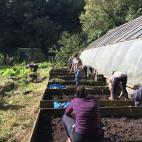 El huerto, una de las actividades extracurriculares