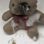 Un oso golpeado y maltratado para reflejar que un niño es afectado por lo que ve.