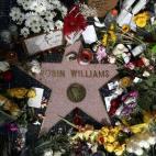 5c8b279520000045047048e2