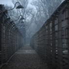 5c8b5907240000f7054d3f80