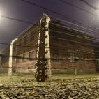 5c8b59072300005300e7f789