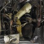 5c8b590a360000c81a6cdb43