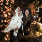 5c8b66492300007f0124a349