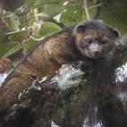 5c8a962c36000006186ba6ea