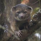 5c8a962d2500000d04c93904