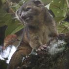 5c8a962d230000dd04234842