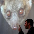 5c8a962e20000045046f54a2