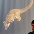 5c8a962e2300000401234844