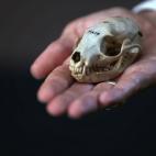 5c8a962e25000052068152f1