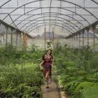 Dos niñas corren en un invernadero