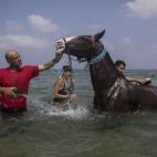 Una familia lava su caballo