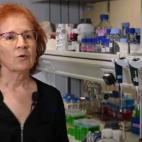 16 claves sobre la pandemia según Margarita del Val