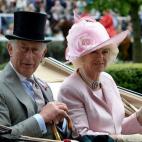 5c8b1d133b000072066d0001