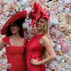 5c8b1d1d2400004205a41e14