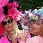 5c8b1d1e230000dd04242356