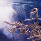 5c8b716b22000033001aeb66