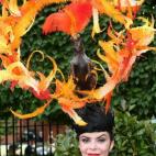 5c8b1d25360000ba1a6c7e58