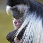 5c8ab54e3b000037066c6bcf