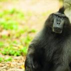 5c8ab54f360000e01c6beb14