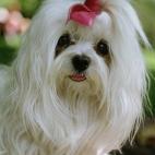 5c8ab54f230000d504238d13