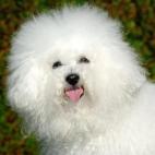 5c8ab54f25000052068197fe