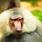 5c8ab550360000ba1a6beb16