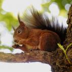 5c8ab5502300007f01238d15