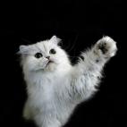 5c8ab5513b000054066c6bd1