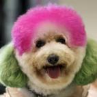 5c8ab5513b000037066c6bd3