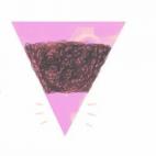 5c8b42552000009e04707b0b