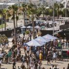 5c8b424f3b000002076d4f36