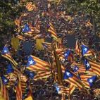 5c8a8b41360000a61b6b9a73